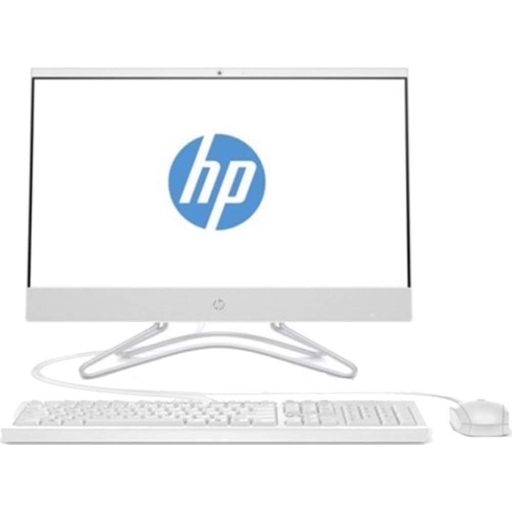 HP ALL IN ONE i5-10210U 8 GB 256 GB SSD UHD Graphics 21.5