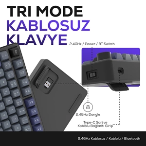 Hawk Gaming HK255 Membrane LCD RGB Kablosuz/Bluetooth Gri Mor %75 Türkçe Gaming Oyuncu Klavye