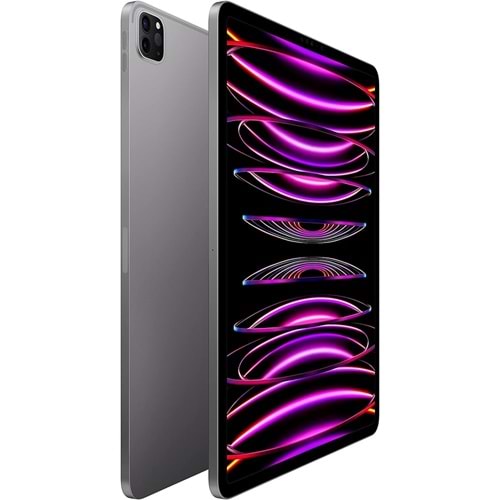 IPAD PRO 12.9-INCH 6TH GENERATION WIFI M2/256 GB