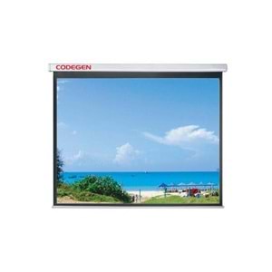 CODEGEN AX-24 240X200 STORLU PERDE