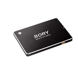 BORY 512 GB SATA3 R500 C512G SSD